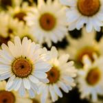 6月26日最新彩票开奖结果公布,快来看看你中奖了吗? 3h9j1349