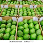 743开奖结果最新公布,中奖号码全面揭晓 5c0ay429