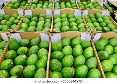 743开奖结果最新公布，中奖号码全面揭晓