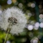 72小时不间断直播:见证极限挑战的全过程 64uzgc0