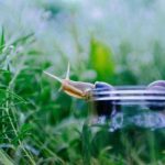 6月28日福彩开奖结果公布,彩民翘首以盼大奖花落谁家 70gs7oj1up