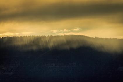 6月1日福彩3D游戏最新开奖结果查询与号码分析