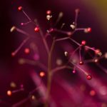 澳门葡京赌场娱乐:探索奢华与刺激的完美结合 ehz832