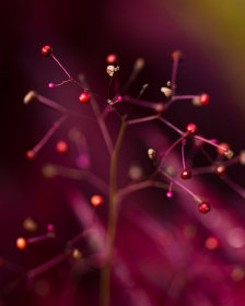 澳门葡京赌场娱乐:探索奢华与刺激的完美结合