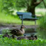 澳门皇冠娱乐的历史与发展:从小赌场到国际巨头 r6p42ek