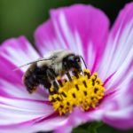 736cc开奖结果最新公布,速来查看中奖详情 vmfwxg5qv0