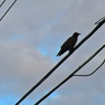 6月22日双色球开奖号码及中奖详情公布 vxxzbt2rzi