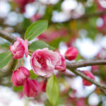 NBA常规赛火热直播:迈阿密热火队主场迎战强敌 5p17y4l