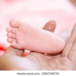 NBA天天直播,精彩赛事不间断,火热对决每日上演! uu56zga1sr